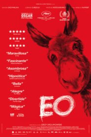 Ver EO pelicula completa online > Filmovimax