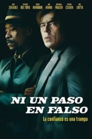 Ver Sin movimientos bruscos pelicula completa online > Filmovimax