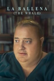 Ver La ballena (The Whale) pelicula completa online > Filmovimax