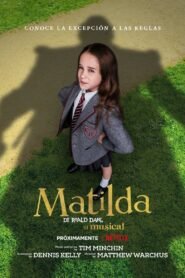 Ver Matilda de Roald Dahl: El musical pelicula completa online > Filmovimax