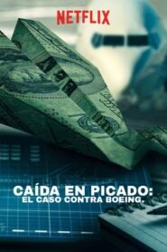 Ver Caída en picado: El caso contra Boeing pelicula completa online > Filmovimax
