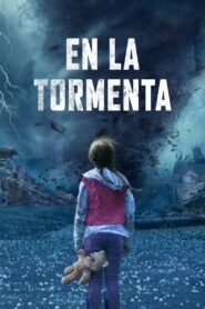 Ver Frente al tornado pelicula completa online > Filmovimax