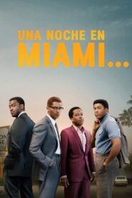 Ver Una noche en Miami… pelicula completa online > Filmovimax