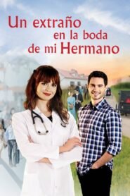 Ver Un extraño en la boda de mi hermano pelicula completa online > Filmovimax