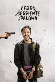 Ver El cerdo, la serpiente y la paloma pelicula completa online > Filmovimax