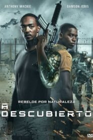 Ver A descubierto pelicula completa online > Filmovimax