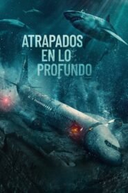 Ver Atrapados en el abismo pelicula completa online > Filmovimax
