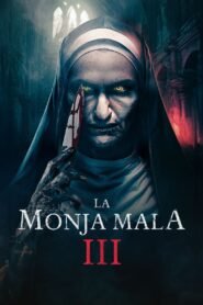 Ver The Bad Nun 3 pelicula completa online > Filmovimax