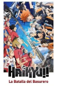 Ver Haikyu!! La batalla del basurero pelicula completa online > Filmovimax
