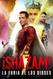 Ver ¡Shazam! La furia de los dioses pelicula completa online > Filmovimax