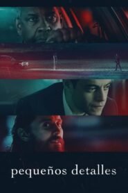 Ver Pequeños detalles pelicula completa online > Filmovimax