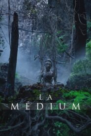 Ver The Medium pelicula completa online > Filmovimax