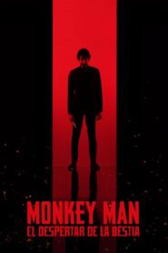 Ver Monkey Man pelicula completa online > Filmovimax