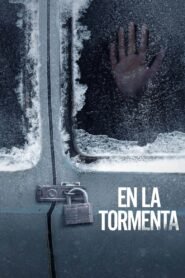 Ver En la tormenta pelicula completa online > Filmovimax
