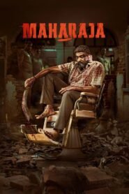 Ver Maharaja pelicula completa online > Filmovimax
