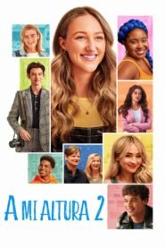Ver A mi altura 2 pelicula completa online > Filmovimax