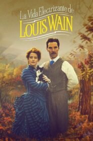 Ver Mr. Wain pelicula completa online > Filmovimax