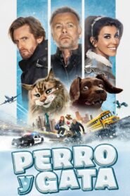 Ver Perro y gata pelicula completa online > Filmovimax