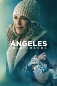 Ver Ordinary Angels pelicula completa online > Filmovimax