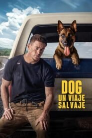 Ver Dog – Un viaje salvaje pelicula completa online > Filmovimax