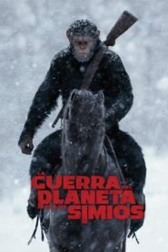 Ver La guerra del planeta de los simios pelicula completa online > Filmovimax