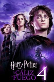 Ver Harry Potter y el cáliz de fuego online pelicula completa > Filmovimax