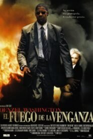 Ver El fuego de la venganza online pelicula completa > Filmovimax