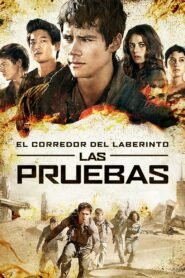 Ver El corredor del laberinto: Las pruebas pelicula online completa > Filmovimax