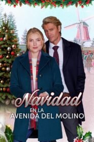 Ver Navidad en la avenida del molino pelicula online completa > Filmovimax