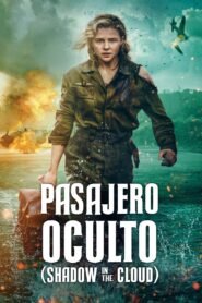 Ver Pasajero oculto pelicula online completa > Filmovimax