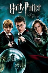 Ver Harry Potter y la Orden del Fénix pelicula online completa > Filmovimax